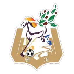 保山队